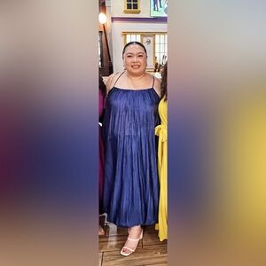 Blue Worthington Pleated Dress